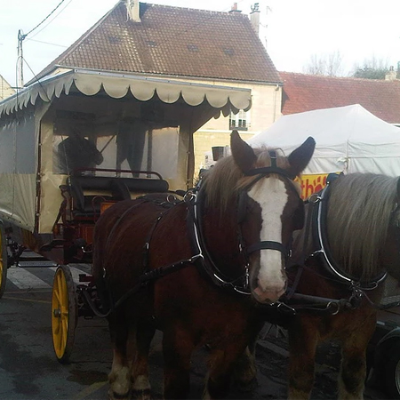 Calèche omnibus en bois