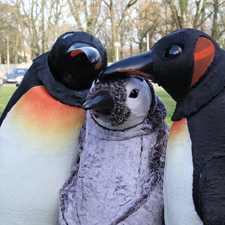 La valse des pingouins