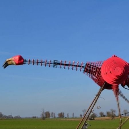 Le flamand rose