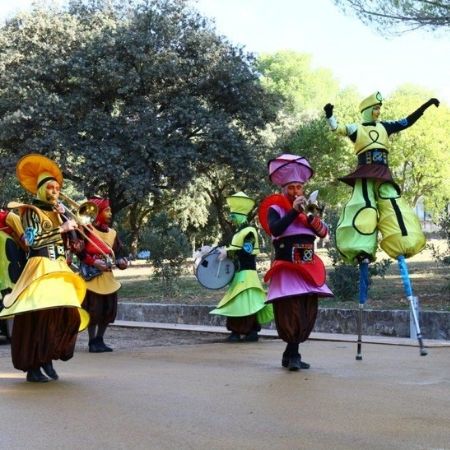 Les échassiers acrobates