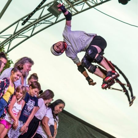 Les échassiers acrobatiques