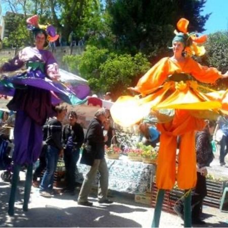 Les jardiniaires colorées