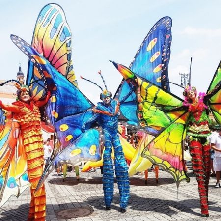 Les Papillons Colorés