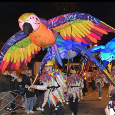 parade-perroquets-colorés